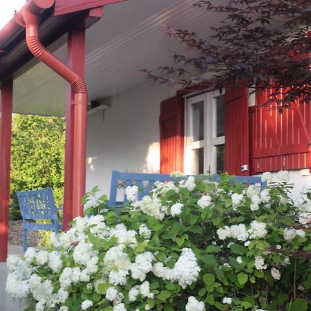 Nagymajor Birding Lodge Tiszacsege Exterior foto